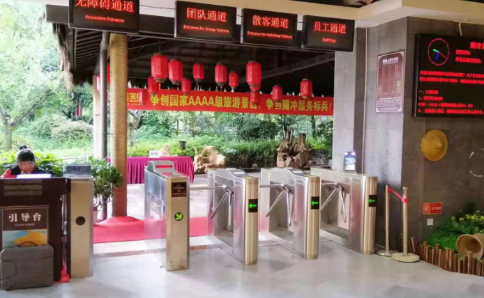 自动生成报表