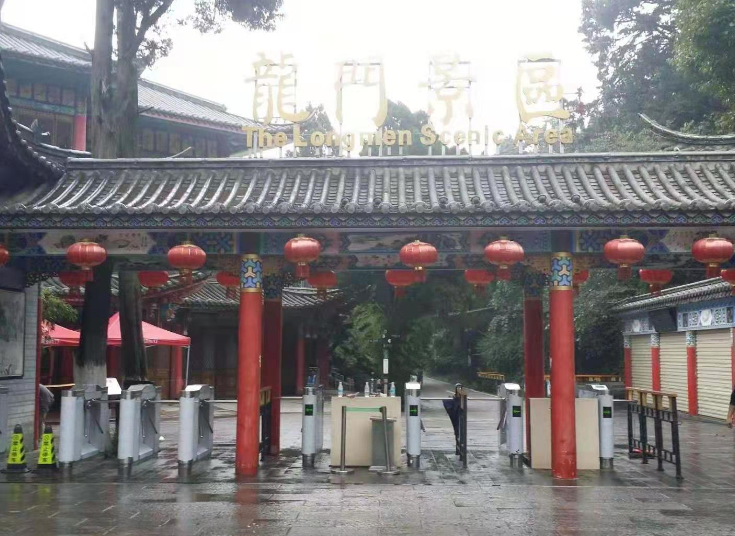 自动生成报表